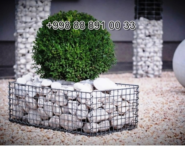  chang.uz in Syrdarya Cost Video Review Photo, chang.uz in Fergana Photo Cost Video Review, chang.uz Сурхандарье Фото Цена Обзор Видео, Xorazm chang.uz Narxi Video Foto Rasm, chang.uz Самарканде Цена Фото Обзор, Sirdaryo chang.uz Narxi Rasm Video Abzor Foto, chang.uz в Кашкадарье Цена Фото Обзор, chang.uz in Samarkand Price Photo Video Cost, chang.uz в Андижане Цена Фото Обзор, chang.uz Хорезме Фото Цена Обзор, Navoiy chang.uz Video Foto Narxi Rasm, chang.uz в Сырдарье Цена Фото Обзор, Nukus chang.uz Narxi, chang.uz in Karakalpakstan Nukus Cost Video Review Photo, chang.uz в Ташкенте Узбекистане Цена Фото Обзор, Qashqadaryo chang.uz Narxi Rasm Video Foto, Andijon chang.uz Narxi Rasm Foto Video, Qoraqalpog‘iston Nukus chang.uz Narxi Rasm Video Foto Narxi, Buxoro chang.uz Video Narxi Rasm Foto, chang.uz in Andijan Cost Video Review Photo, O'zbekiston chang.uz, chang.uz Джизаке, chang.uz в Ташкенте Узбекистане Цена Фото Обзор, chang.uz в Бухаре Цена Фото Обзор, Samarqand chang.uz Foto Narxi Rasm Video Abzor, chang.uz in Uzbekistan Price Photo Video Cost ReView, chang.uz Намангане Цена Фото Обзор, chang.uz in Kashkadarya Cost Video Review Photo, Farg'ona chang.uz Narxi Video Foto Rasm, rasm, chang.uz Нукусе Цена Фото Обзор, chang.uz Фергане Фото Цена Обзор, chang.uz in Jizzakh Cost Video Review Photo, chang.uz in Bukhara Cost Video Review Photo, chang.uz in Surkhandarya Cost Video Review Photo, chang.uz Навои Цена Фото Обзор, chang.uz in Nukus Photo Video Cost ReView Price, chang.uz in Navoi Cost Photo Video Review, chang.uz in Namangan Price Photo Video Cost, chang.uz в Каракалпакистане Нукусе Цена Фото Обзор, Namangan chang.uz Video Foto Narxi Rasm, chang.uz in Khorezm Cost Video Review Photo, chang.uz Самарканде Цена Фото Обзор, Jizzax chang.uz Video Narxi Rasm Foto, Surxondaryo chang.uz Narxi Rasm Video Foto 