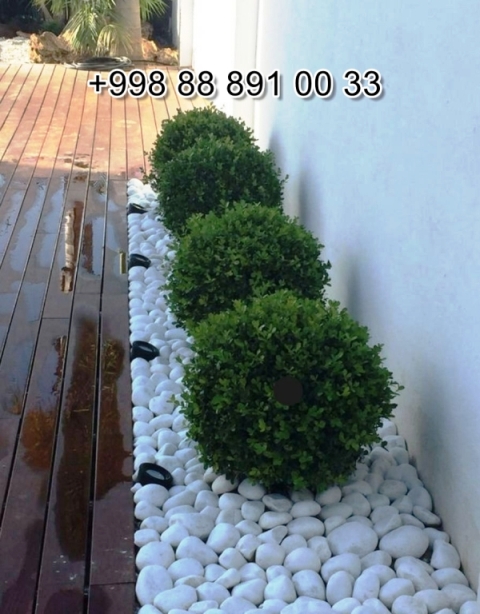  Navoiy chang.uz Video Foto Narxi Rasm, chang.uz в Андижане Цена Фото Обзор, Andijon chang.uz Narxi Rasm Foto Video, Surxondaryo chang.uz Narxi Rasm Video Foto, chang.uz Намангане Цена Фото Обзор, Jizzax chang.uz Video Narxi Rasm Foto, chang.uz в Кашкадарье Цена Фото Обзор, chang.uz in Fergana Photo Cost Video Review, chang.uz Хорезме Фото Цена Обзор, chang.uz in Uzbekistan Price Photo Video Cost ReView, Farg'ona chang.uz Narxi Video Foto Rasm, rasm, chang.uz Сурхандарье Фото Цена Обзор Видео, chang.uz в Каракалпакистане Нукусе Цена Фото Обзор, Qoraqalpog‘iston Nukus chang.uz Narxi Rasm Video Foto Narxi, chang.uz Самарканде Цена Фото Обзор, chang.uz Навои Цена Фото Обзор, chang.uz in Surkhandarya Cost Video Review Photo, Nukus chang.uz Narxi, O'zbekiston chang.uz, chang.uz in Karakalpakstan Nukus Cost Video Review Photo, chang.uz in Syrdarya Cost Video Review Photo, chang.uz в Бухаре Цена Фото Обзор, chang.uz in Nukus Photo Video Cost ReView Price, chang.uz in Bukhara Cost Video Review Photo, chang.uz in Jizzakh Cost Video Review Photo, Qashqadaryo chang.uz Narxi Rasm Video Foto, chang.uz Самарканде Цена Фото Обзор, Buxoro chang.uz Video Narxi Rasm Foto, chang.uz Нукусе Цена Фото Обзор, Samarqand chang.uz Foto Narxi Rasm Video Abzor, chang.uz in Khorezm Cost Video Review Photo, Xorazm chang.uz Narxi Video Foto Rasm, chang.uz in Namangan Price Photo Video Cost, chang.uz Фергане Фото Цена Обзор, chang.uz в Ташкенте Узбекистане Цена Фото Обзор, chang.uz in Kashkadarya Cost Video Review Photo, Namangan chang.uz Video Foto Narxi Rasm, chang.uz в Ташкенте Узбекистане Цена Фото Обзор, chang.uz in Andijan Cost Video Review Photo, chang.uz в Сырдарье Цена Фото Обзор, chang.uz in Navoi Cost Photo Video Review, Sirdaryo chang.uz Narxi Rasm Video Abzor Foto, chang.uz Джизаке, chang.uz in Samarkand Price Photo Video Cost 