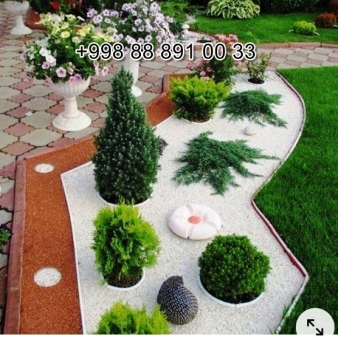  chang.uz in Andijan Cost Video Review Photo, chang.uz in Navoi Cost Photo Video Review, chang.uz in Khorezm Cost Video Review Photo, chang.uz Самарканде Цена Фото Обзор, chang.uz in Kashkadarya Cost Video Review Photo, chang.uz Навои Цена Фото Обзор, chang.uz in Syrdarya Cost Video Review Photo, chang.uz в Кашкадарье Цена Фото Обзор, chang.uz Фергане Фото Цена Обзор, Surxondaryo chang.uz Narxi Rasm Video Foto, chang.uz in Bukhara Cost Video Review Photo, Sirdaryo chang.uz Narxi Rasm Video Abzor Foto, Xorazm chang.uz Narxi Video Foto Rasm, chang.uz Джизаке, chang.uz Самарканде Цена Фото Обзор, chang.uz in Uzbekistan Price Photo Video Cost ReView, Navoiy chang.uz Video Foto Narxi Rasm, Samarqand chang.uz Foto Narxi Rasm Video Abzor, chang.uz in Nukus Photo Video Cost ReView Price, chang.uz Хорезме Фото Цена Обзор, chang.uz в Ташкенте Узбекистане Цена Фото Обзор, chang.uz in Surkhandarya Cost Video Review Photo, chang.uz Нукусе Цена Фото Обзор, Farg'ona chang.uz Narxi Video Foto Rasm, rasm, chang.uz в Андижане Цена Фото Обзор, Qoraqalpog‘iston Nukus chang.uz Narxi Rasm Video Foto Narxi, chang.uz in Karakalpakstan Nukus Cost Video Review Photo, Nukus chang.uz Narxi, chang.uz в Бухаре Цена Фото Обзор, Andijon chang.uz Narxi Rasm Foto Video, Namangan chang.uz Video Foto Narxi Rasm, O'zbekiston chang.uz, chang.uz Намангане Цена Фото Обзор, chang.uz in Jizzakh Cost Video Review Photo, chang.uz in Namangan Price Photo Video Cost, Qashqadaryo chang.uz Narxi Rasm Video Foto, chang.uz in Samarkand Price Photo Video Cost, chang.uz in Fergana Photo Cost Video Review, Jizzax chang.uz Video Narxi Rasm Foto, chang.uz в Ташкенте Узбекистане Цена Фото Обзор, chang.uz Сурхандарье Фото Цена Обзор Видео, chang.uz в Каракалпакистане Нукусе Цена Фото Обзор, Buxoro chang.uz Video Narxi Rasm Foto, chang.uz в Сырдарье Цена Фото Обзор 